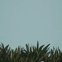 Bối cảnh