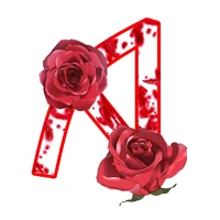nhà Anki