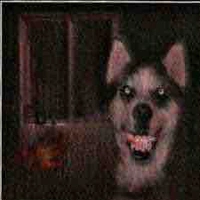 Smile dog