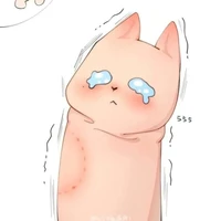 Cáo