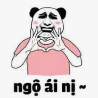 Tác giả 