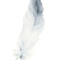 Nv quần chúng nam