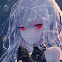 Y/N