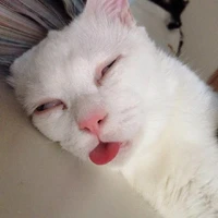Mun