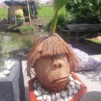 Tác giả thích sôcôla