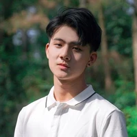 Lý Tưởng Nam