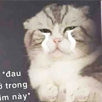 Tác giả :)))