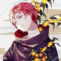 Sasori
