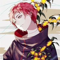 Sasori