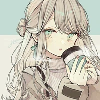 Y/N