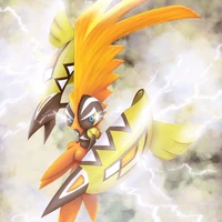 Tapu koko