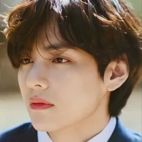 v( bạn kook)