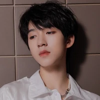 Hạ Tuấn Lâm