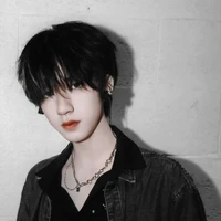 Hạ Tuấn Lâm
