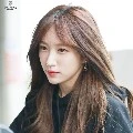 Hani