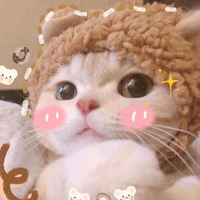 Umi_Tác Giả