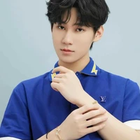 Trương Chân Nguyên a Họ Lâm Hiên Văn