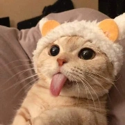 cả lớp