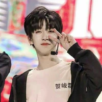Hạ Tuấn Lâm