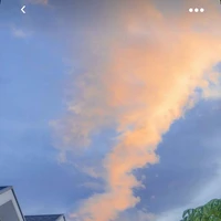 Nhiều nhân vật khác