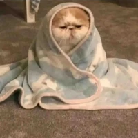 Ông Quản Gia chẹp chai:3