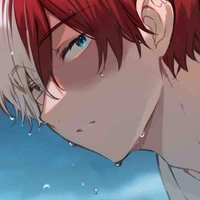 Todoroki Shoto