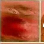 Máy phát nhạc chạy bằng cơm