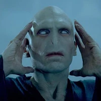 vodermort ( tom riddle )