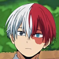 Todoroki Shouto
