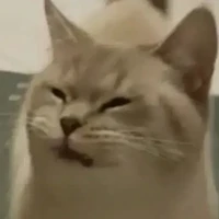 tác giả tác giả thỉu năng