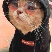 Tác giả