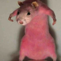 Nguyyn