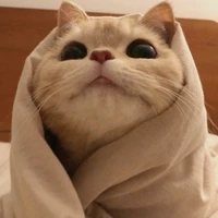 ☘️Munz_bún_(T/G,Hiệu trưởng😜)☘️