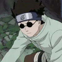 Shino