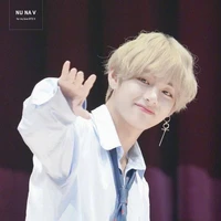Kim Tae- hyung ( V)