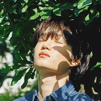 Kai