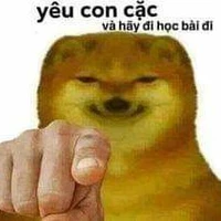 lồn