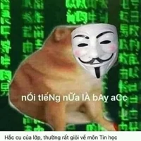 buồi