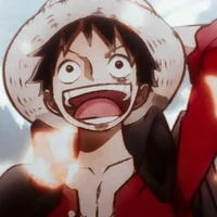 MonkeyD.Luffy