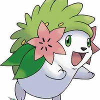 Shaymin