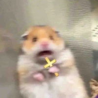 Đĩ tác giả