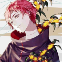 Sasori 