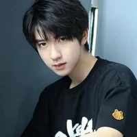Hạ Tuấn Lâm