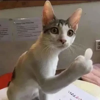 tác giả yêu đời