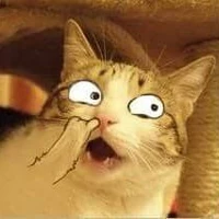 Tg ế lâu năm đêy~