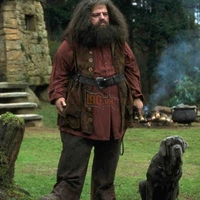Rubeus Hagrid