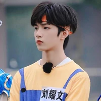 Lưu Diệu Văn