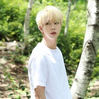 Jin ( mẹ Jungkook)