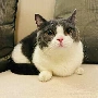 MiMi