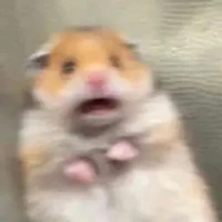 ả Viie vô dụng
